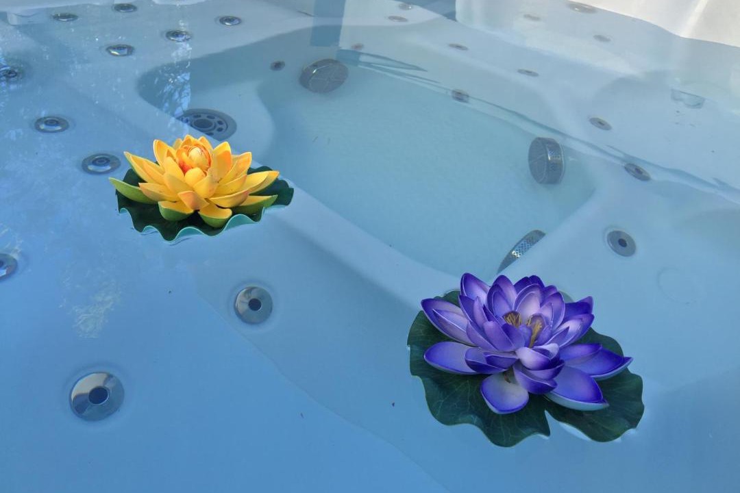 Photo of Others in Villeneuve-les-Maguelone