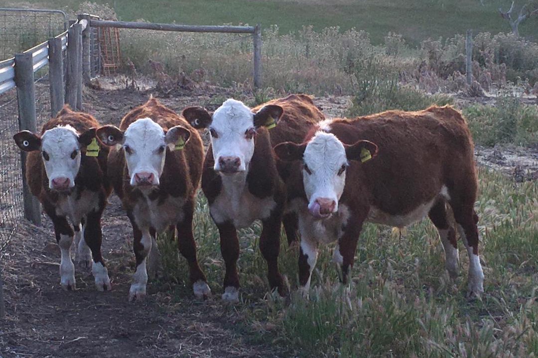 Photo of Others in Silverton