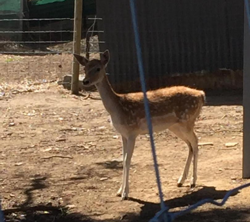 Photo of Others in Silverton
