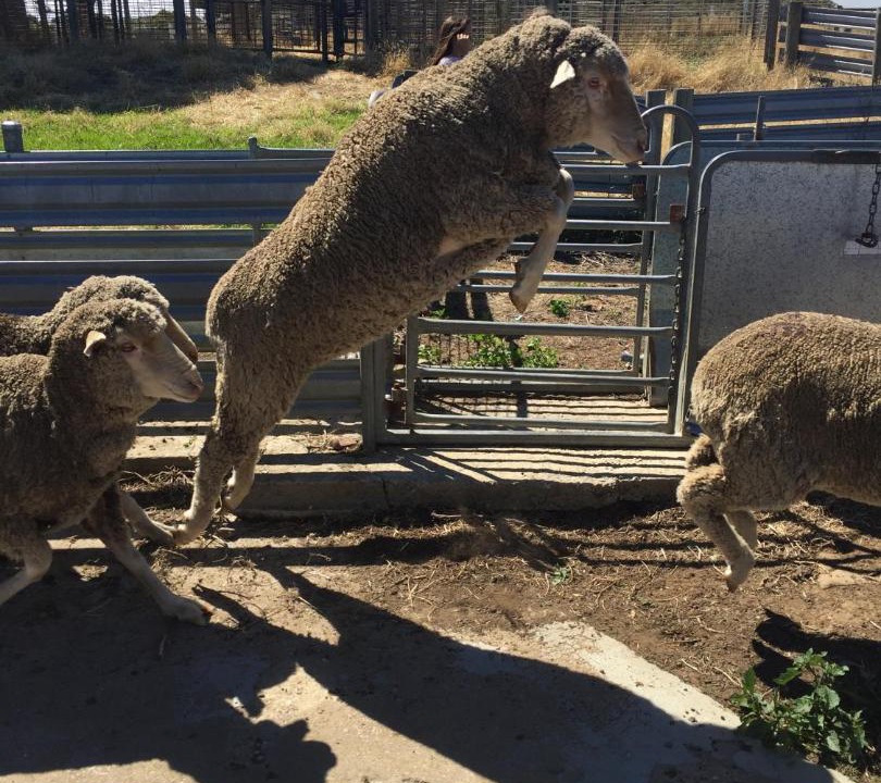 Photo of Others in Silverton