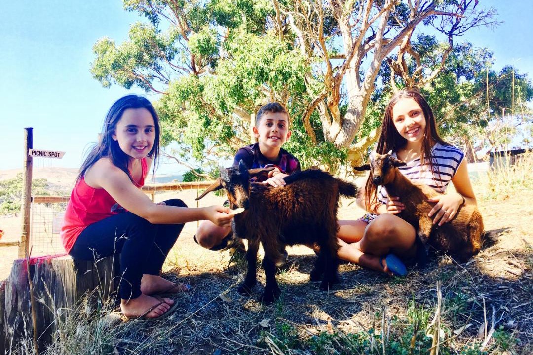 Photo of Others in Silverton