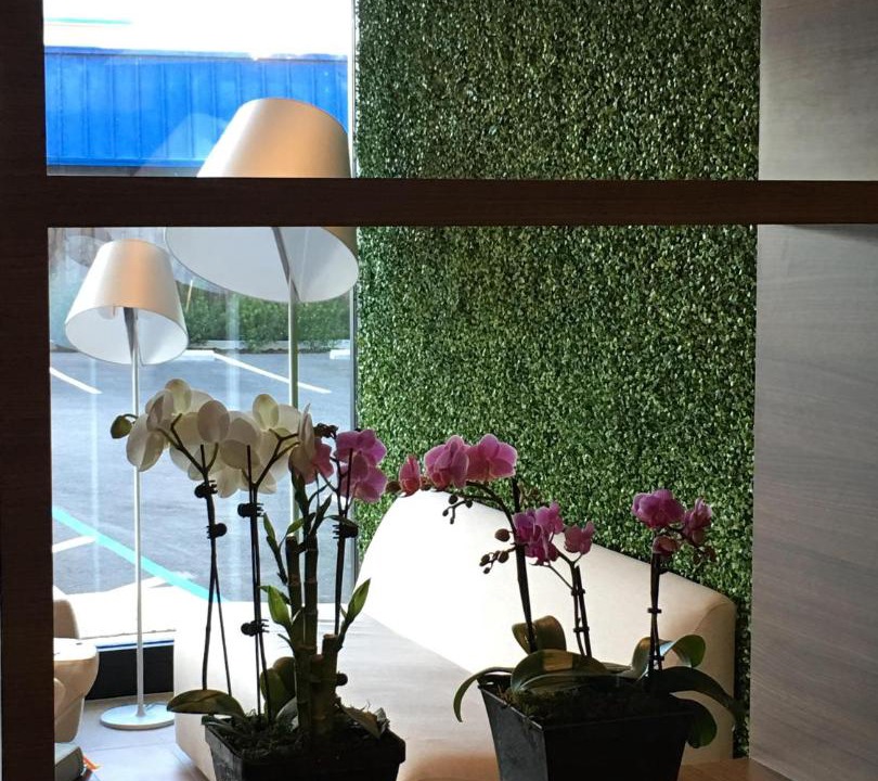 Photo of Others in Millbrae