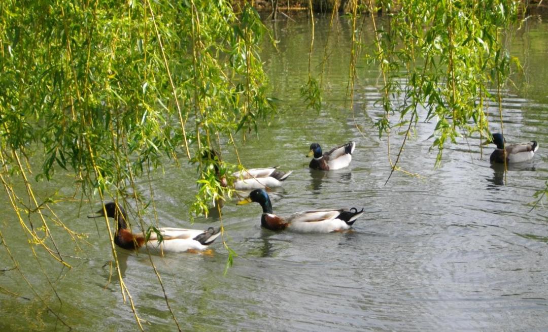 Photo of Others in Eyrans