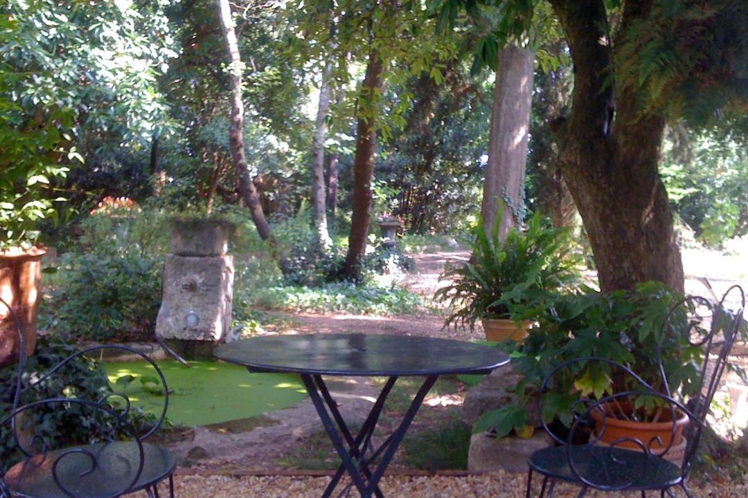 Photo of Others in Sommieres