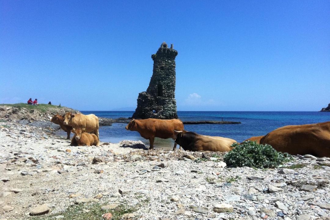 Photo of Others in Cagnano