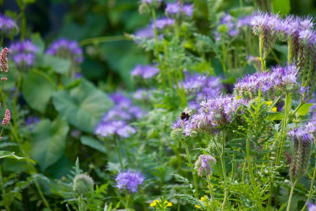 Photo of Others in Barns Green