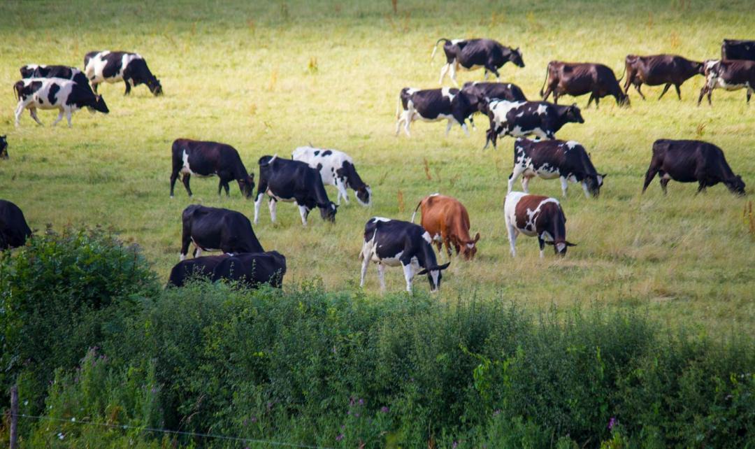 Photo of Others in Barns Green