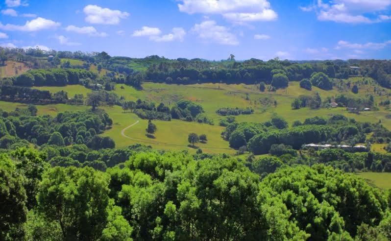 Photo of Others in Federal