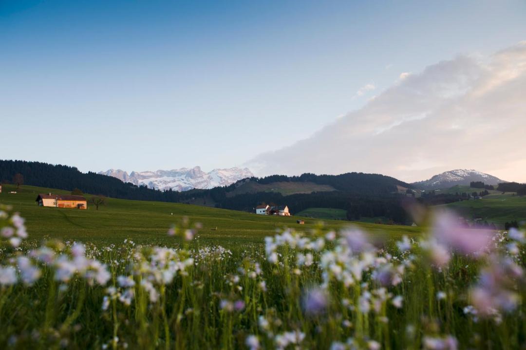 Photo of Others in Appenzell