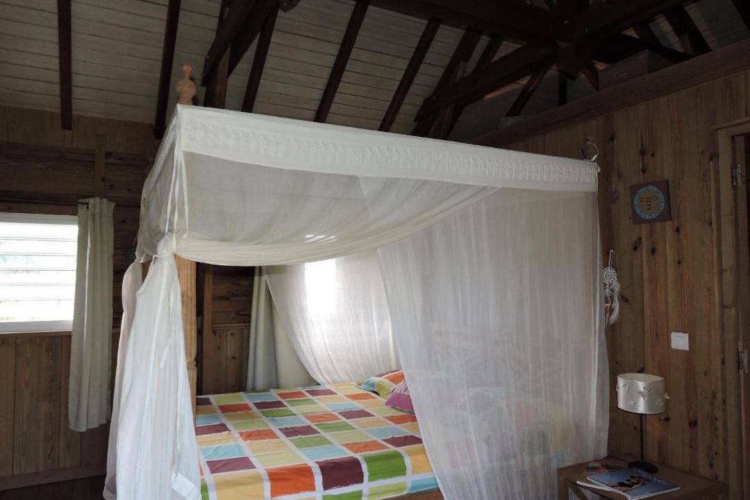 Photo of Others in La Savane