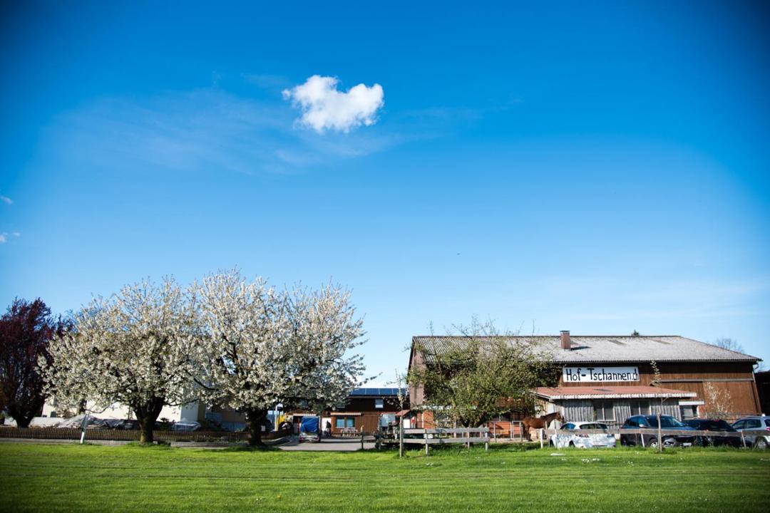Photo of Others in Lengwil