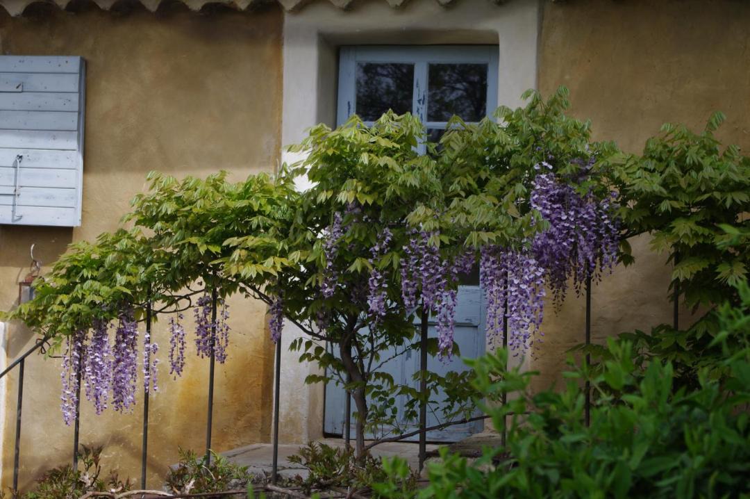 Photo of Buildings in Vaison-la-Romaine