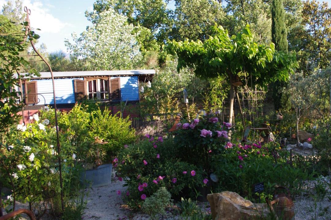 Photo of Others in Vaison-la-Romaine