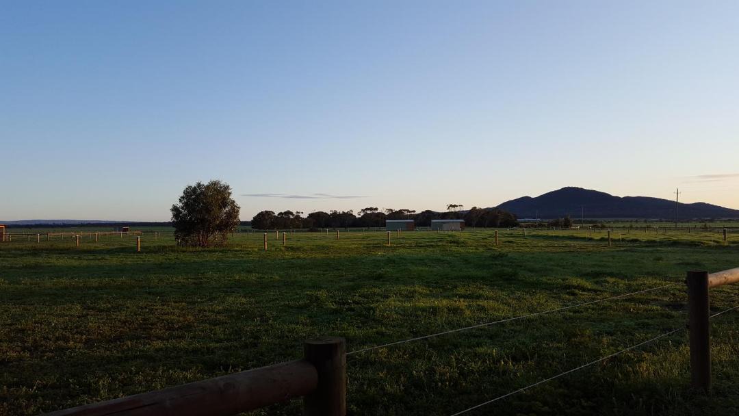 Photo of Others in Lara