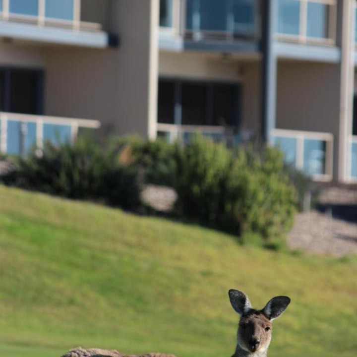Photo of Others in Normanville