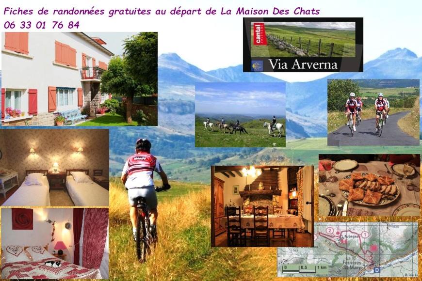 Photo of Others in Saint-Mary-le-Plain