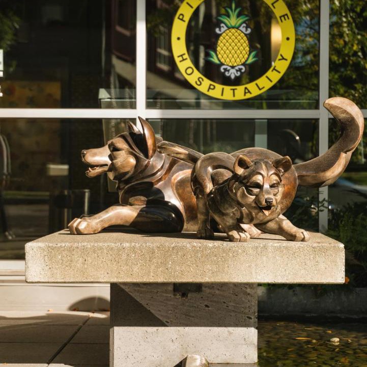 Photo of Others in University District
