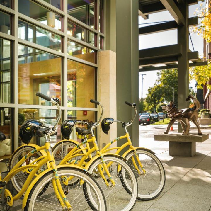 Photo of Others in University District