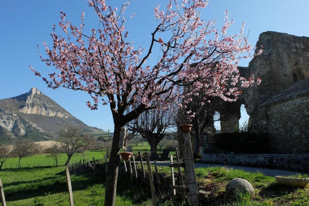 Photo of Others in Saint-Andre-de-Rosans