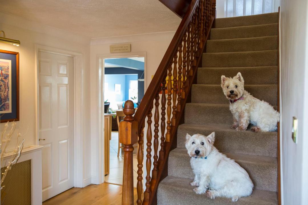 Photo of Others in Gawcott