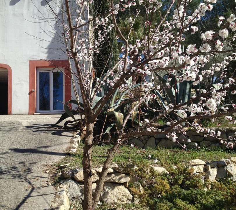 Photo of Others in Castelnau-le-Lez