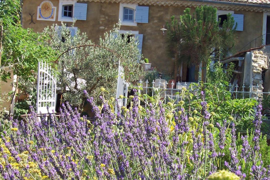 Photo of Buildings in Vaison-la-Romaine
