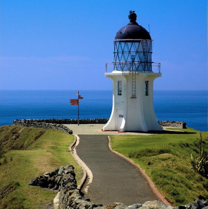 Photo of Others in Pukenui