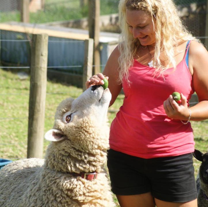 Photo of Others in Pukenui