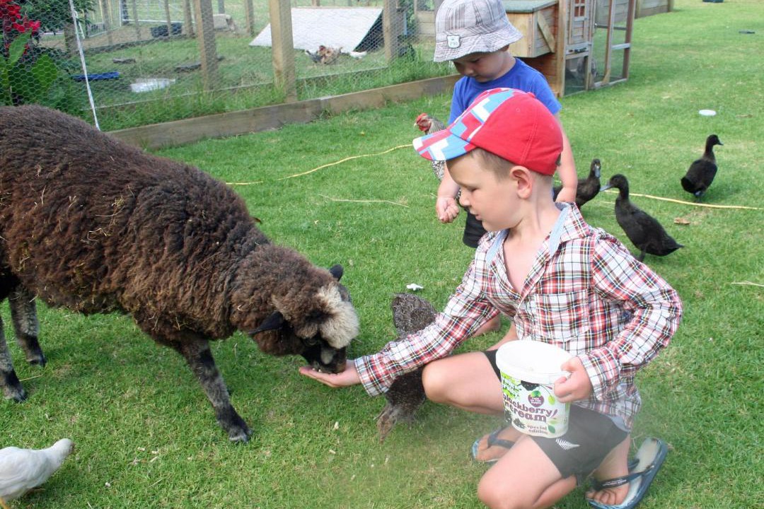 Photo of Others in Pukenui