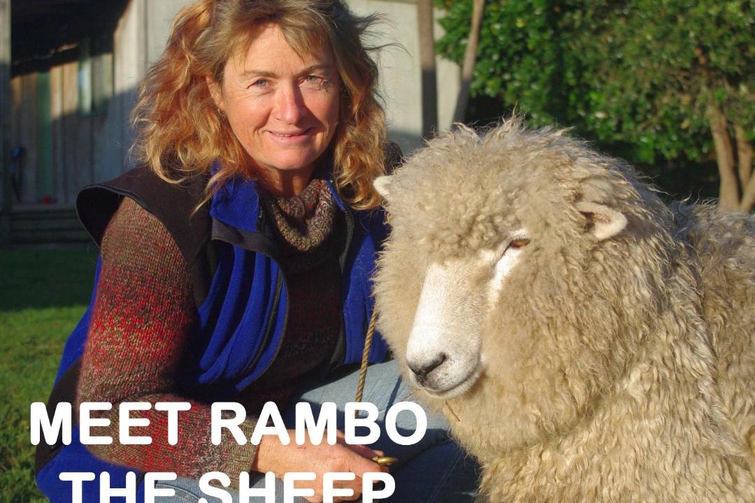 Photo of Others in Pukenui