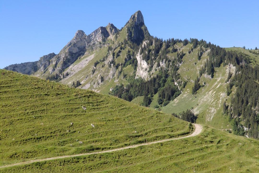 Photo of Others in Schwarzsee