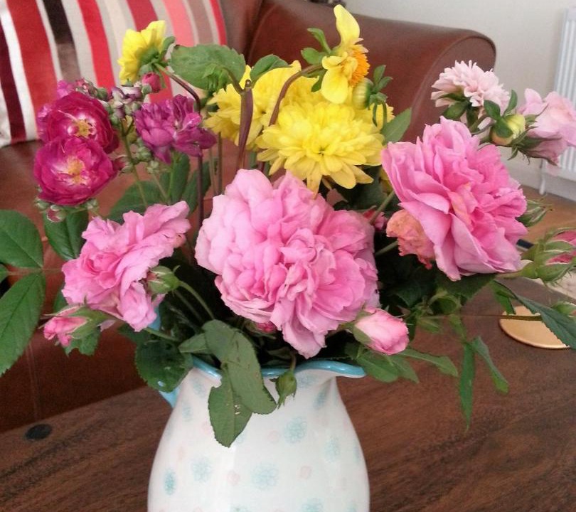 Photo of Livingroom in Constantine