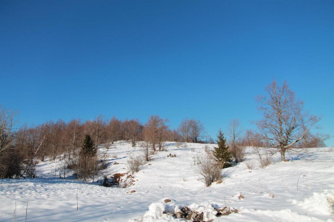 Photo of Others in Delnice