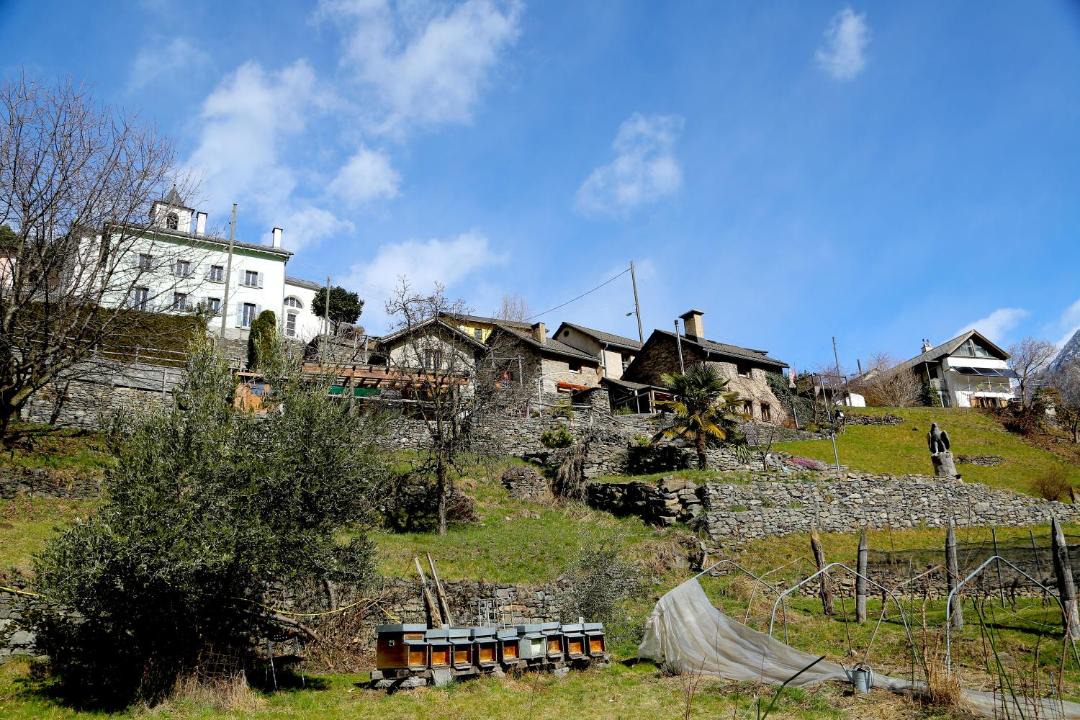 Photo of Others in Verdabbio