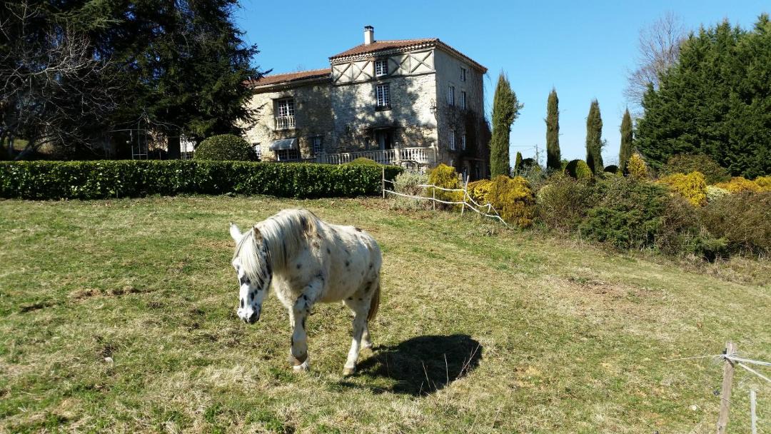 Photo of Others in Saint-Girons