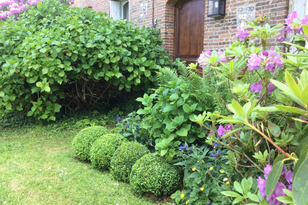 Photo of Others in Isneauville