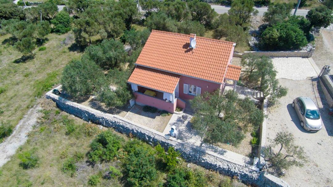 Photo of Others in Miholascica