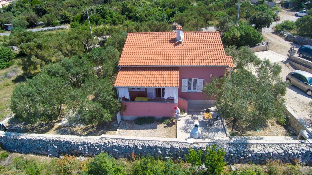 Photo of Others in Miholascica