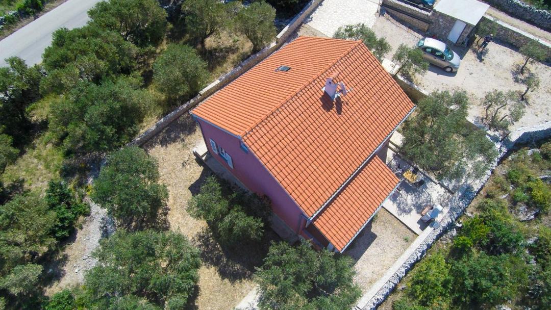Photo of Others in Miholascica
