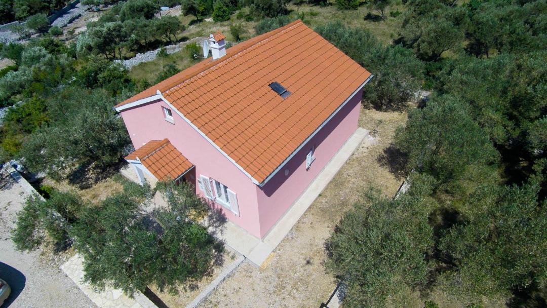 Photo of Others in Miholascica