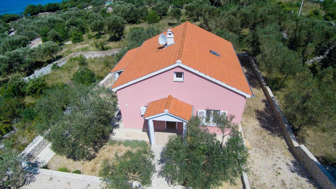 Photo of Others in Miholascica