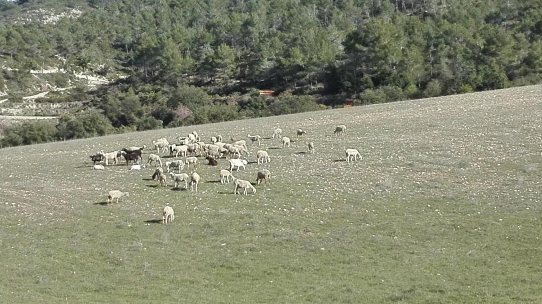 Photo of Others in Ibi