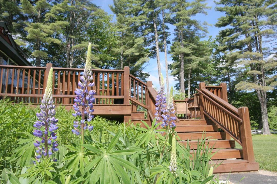 Photo of Others in Fryeburg