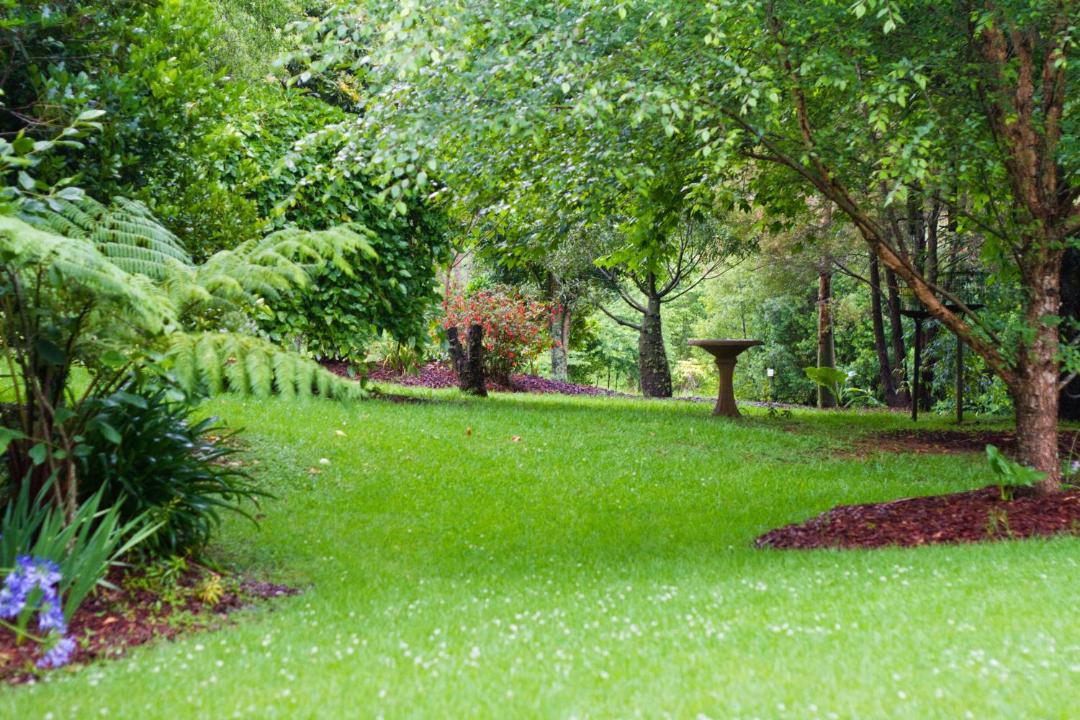 Photo of Outdoor in Mount Glorious