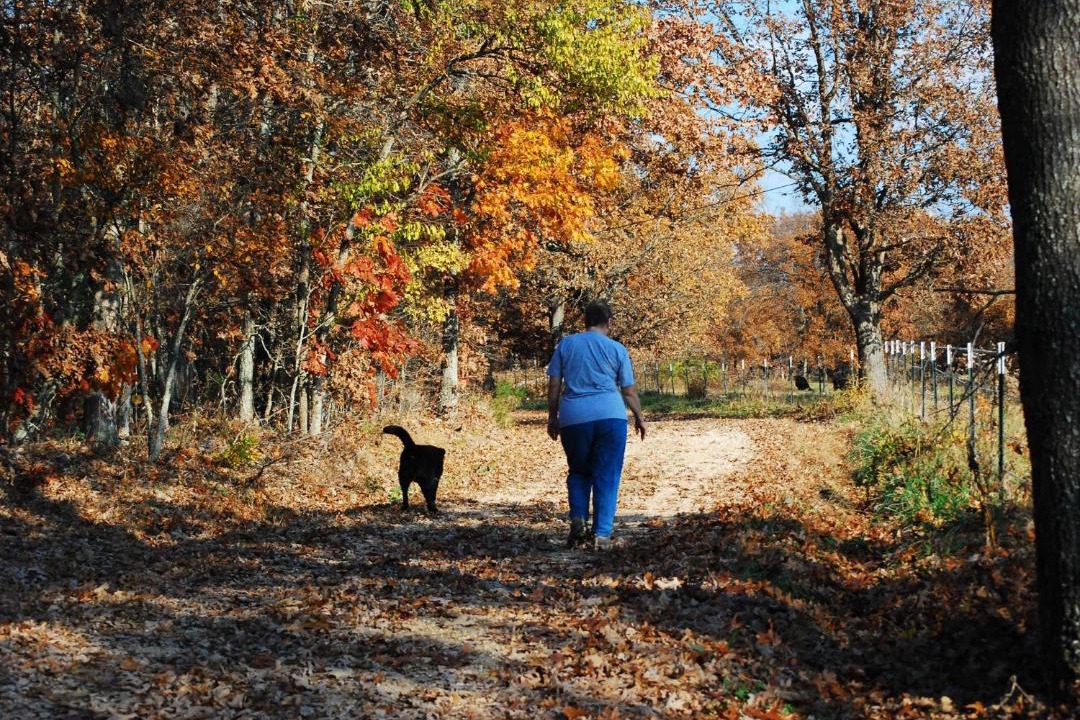 Photo of Others in Dixon