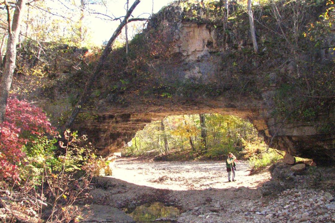 Photo of Others in Dixon