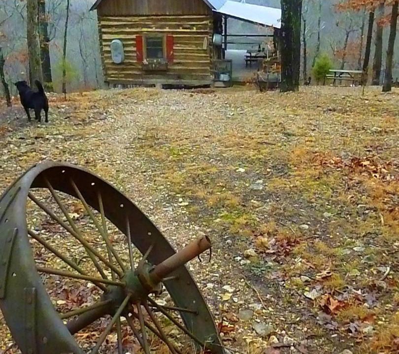 Photo of Buildings in Dixon