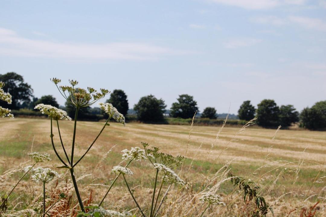 Photo of Outdoor in Chichester