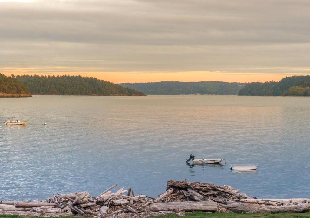 Photo of Others in Anacortes