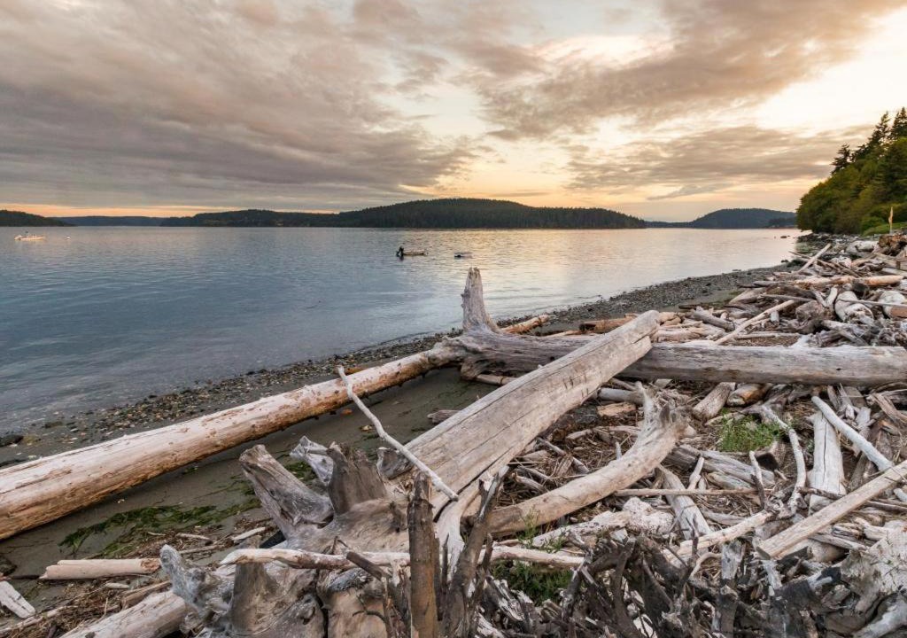 Photo of Others in Anacortes